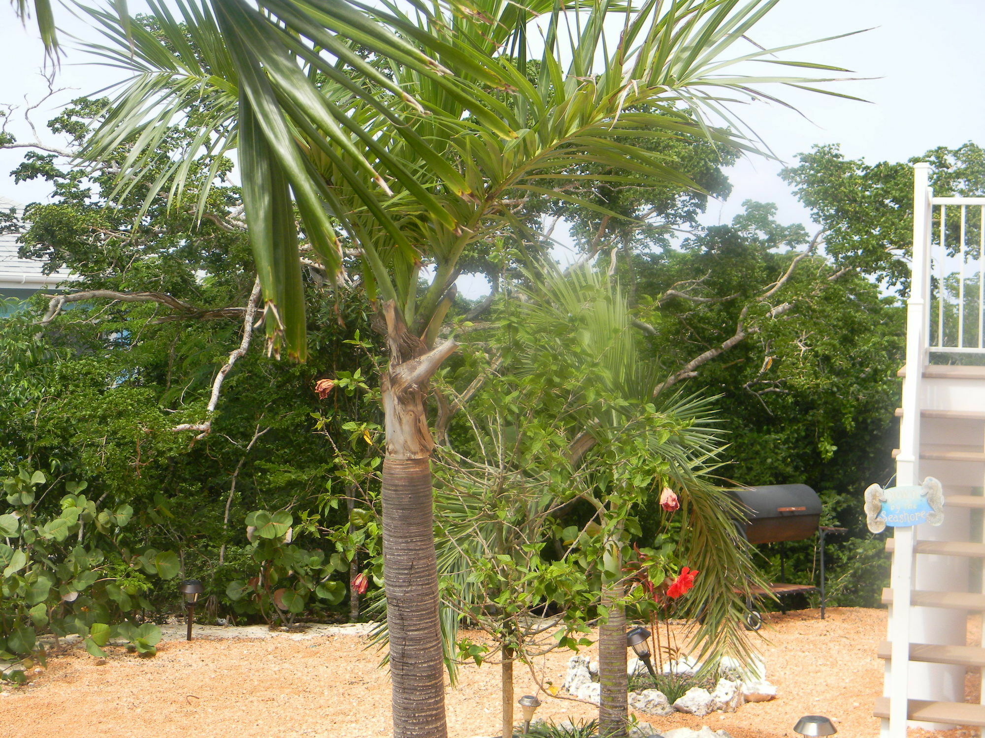 Harbor Breeze Villas Clarence Town Ngoại thất bức ảnh