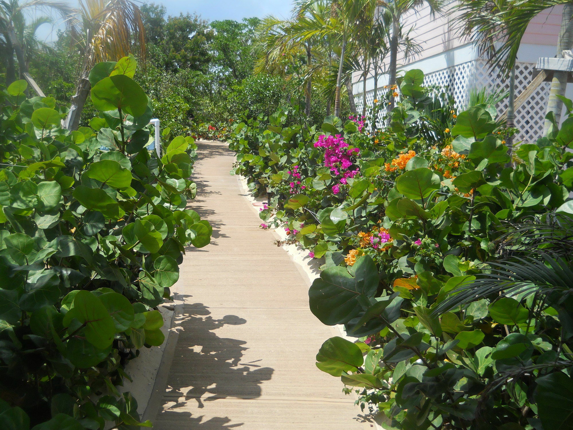 Harbor Breeze Villas Clarence Town Ngoại thất bức ảnh